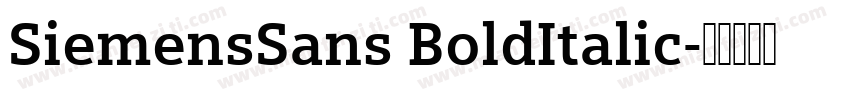 SiemensSans BoldItalic字体转换